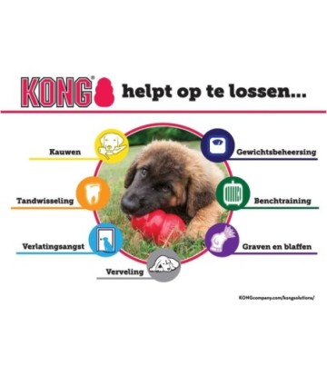 KONG EXTREME T-M