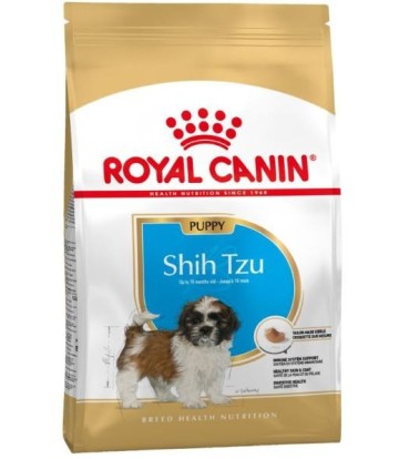 BHN SHIH TZU PUPPY 1.5KG